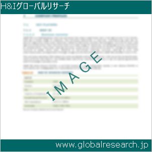 グローバルリサーチ調査レポートのイメージ